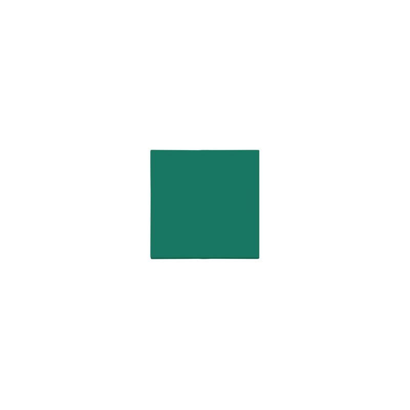 Klawisz pojedynczy do: SW1M SW6M SW7M SP1M zielony Kontakt Simon 55